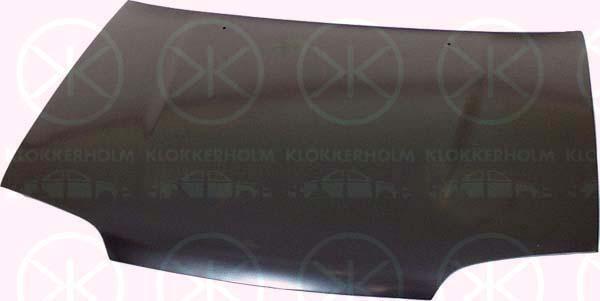 Klokkerholm 6811280 Капот 6811280: Купити в Україні - Добра ціна на EXIST.UA!