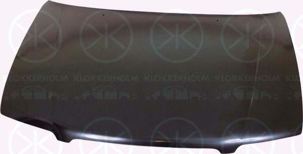 Klokkerholm 6813280A1 Капот 6813280A1: Купити в Україні - Добра ціна на EXIST.UA!