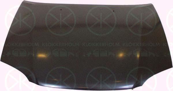 Klokkerholm 8160280A1 Капот 8160280A1: Купити в Україні - Добра ціна на EXIST.UA!