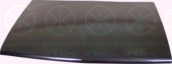 Klokkerholm 3050 280 Капот 3050280: Купити в Україні - Добра ціна на EXIST.UA!