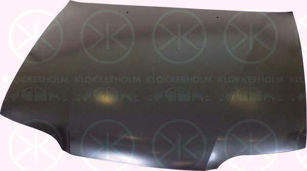 Klokkerholm 3166280 Капот 3166280: Купити в Україні - Добра ціна на EXIST.UA!