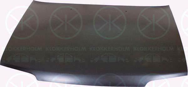 Klokkerholm 3432282 Капот 3432282: Купити в Україні - Добра ціна на EXIST.UA!