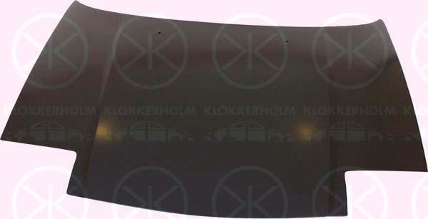 Klokkerholm 3433280 Капот 3433280: Купити в Україні - Добра ціна на EXIST.UA!