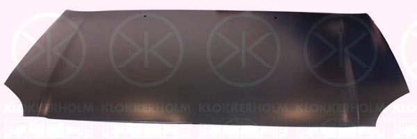 Klokkerholm 8161283 Капот 8161283: Купити в Україні - Добра ціна на EXIST.UA!