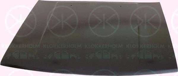Klokkerholm 8173280 Капот 8173280: Купити в Україні - Добра ціна на EXIST.UA!