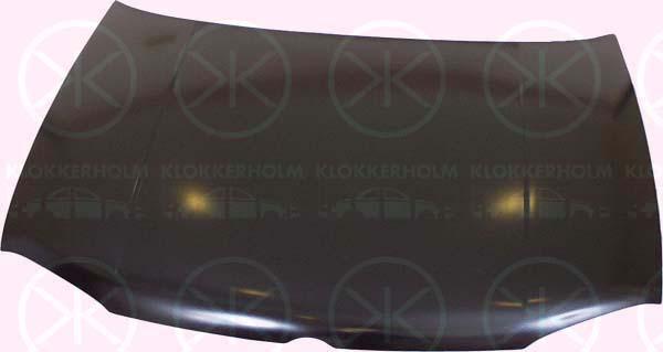 Klokkerholm 9523280A1 Капот 9523280A1: Купити в Україні - Добра ціна на EXIST.UA!