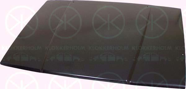 Klokkerholm 9040280 Капот 9040280: Купити в Україні - Добра ціна на EXIST.UA!