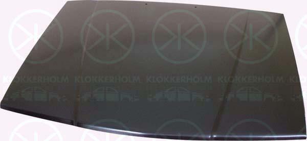 Klokkerholm 9040281 Капот 9040281: Купити в Україні - Добра ціна на EXIST.UA!