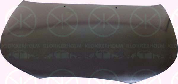 Klokkerholm 2553280A1 Капот 2553280A1: Купити в Україні - Добра ціна на EXIST.UA!