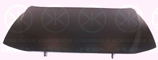 Klokkerholm 9021280 Капот 9021280: Купити в Україні - Добра ціна на EXIST.UA!