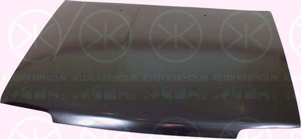 Klokkerholm 8174280A1 Капот 8174280A1: Купити в Україні - Добра ціна на EXIST.UA!