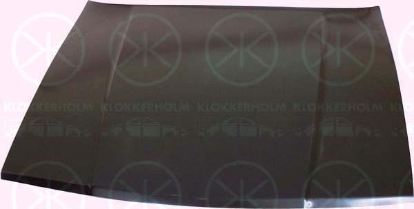 Klokkerholm 9007280A1 Капот 9007280A1: Купити в Україні - Добра ціна на EXIST.UA!