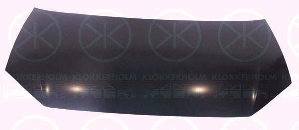 Klokkerholm 9506282 Капот 9506282: Купити в Україні - Добра ціна на EXIST.UA!