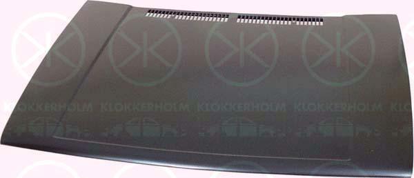 Klokkerholm 9521280 Капот 9521280: Купити в Україні - Добра ціна на EXIST.UA!