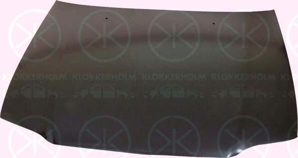 Klokkerholm 8143280 Капот 8143280: Купити в Україні - Добра ціна на EXIST.UA!