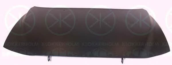 Klokkerholm 9021281 Капот 9021281: Купити в Україні - Добра ціна на EXIST.UA!
