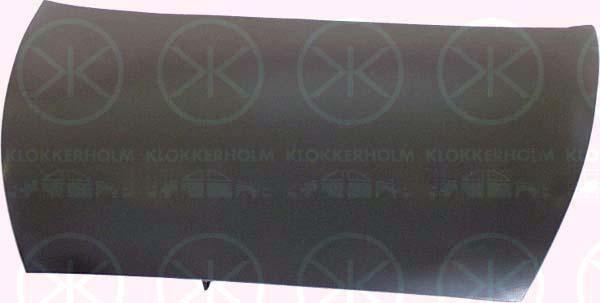 Klokkerholm 2505280A1 Капот 2505280A1: Купити в Україні - Добра ціна на EXIST.UA!