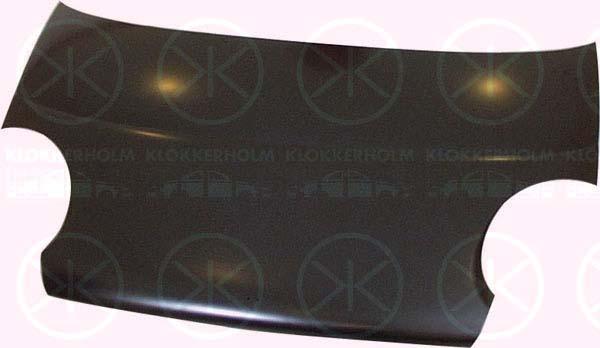 Klokkerholm 1103280A1 Капот 1103280A1: Купити в Україні - Добра ціна на EXIST.UA!