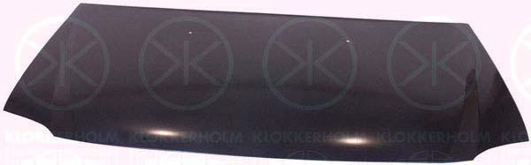 Klokkerholm 1301280 Капот 1301280: Купити в Україні - Добра ціна на EXIST.UA!