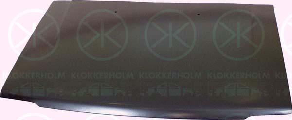 Klokkerholm 1604283 Капот 1604283: Купити в Україні - Добра ціна на EXIST.UA!