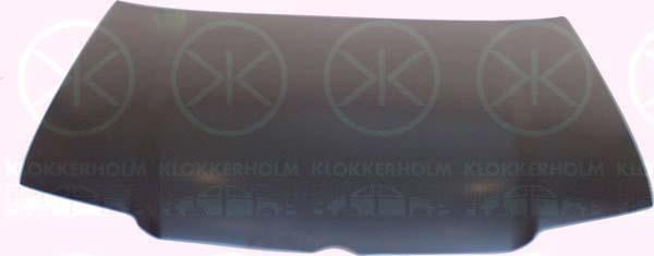 Klokkerholm 9543280 Капот 9543280: Купити в Україні - Добра ціна на EXIST.UA!