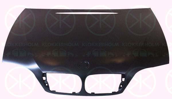 Klokkerholm 0061282A1 Капот 0061282A1: Купити в Україні - Добра ціна на EXIST.UA!