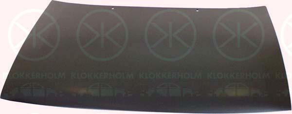 Klokkerholm 6615280A1 Капот 6615280A1: Купити в Україні - Добра ціна на EXIST.UA!