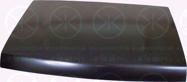 Klokkerholm 1644281 Капот 1644281: Купити в Україні - Добра ціна на EXIST.UA!