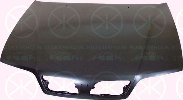 Klokkerholm 1668280A1 Капот 1668280A1: Купити в Україні - Добра ціна на EXIST.UA!