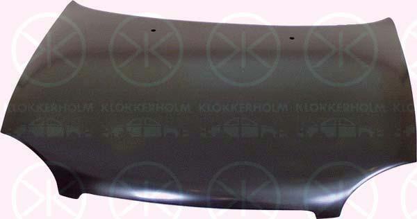 Klokkerholm 5022280 Капот 5022280: Купити в Україні - Добра ціна на EXIST.UA!
