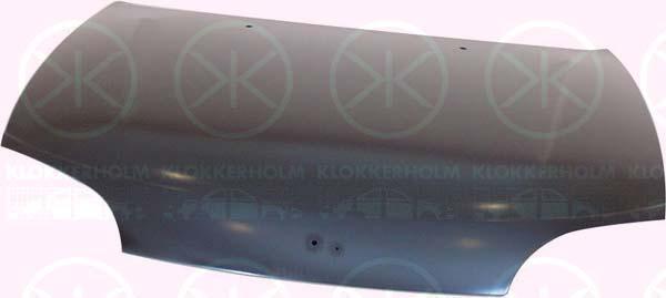 Klokkerholm 5030280 Капот 5030280: Купити в Україні - Добра ціна на EXIST.UA!