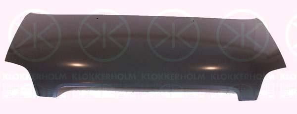 Klokkerholm 5032280 Капот 5032280: Купити в Україні - Добра ціна на EXIST.UA!