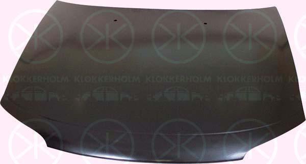 Klokkerholm 5040280 Капот 5040280: Купити в Україні - Добра ціна на EXIST.UA!