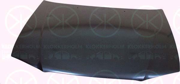 Klokkerholm 6731280 Капот 6731280: Купити в Україні - Добра ціна на EXIST.UA!