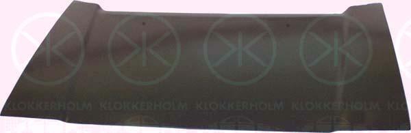 Klokkerholm 2907 281 Капот 2907281: Купити в Україні - Добра ціна на EXIST.UA!
