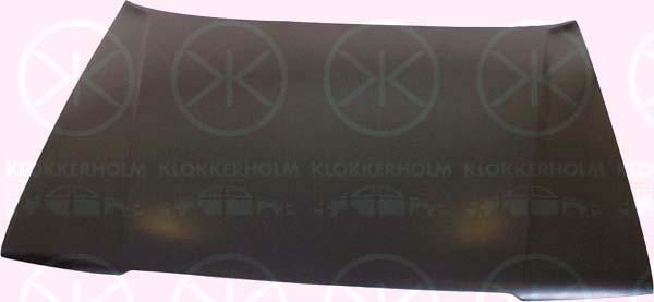 Klokkerholm 3355 280 Капот 3355280: Купити в Україні - Добра ціна на EXIST.UA!