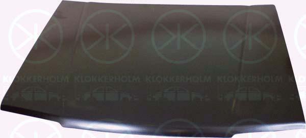 Klokkerholm 3431 280 Капот 3431280: Купити в Україні - Добра ціна на EXIST.UA!
