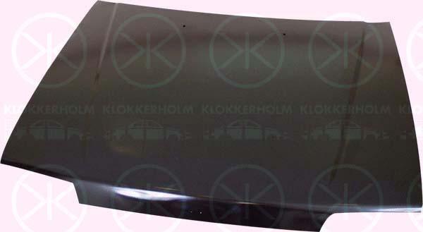 Klokkerholm 2920280 Капот 2920280: Купити в Україні - Добра ціна на EXIST.UA!