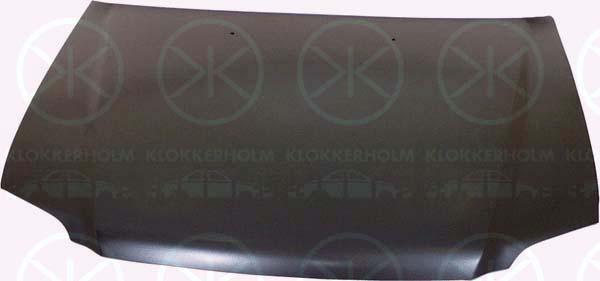 Klokkerholm 2955280 Капот 2955280: Купити в Україні - Добра ціна на EXIST.UA!