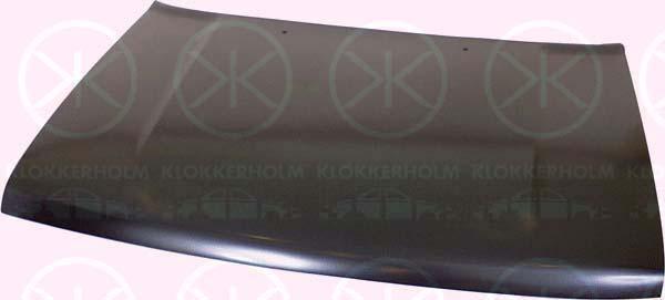 Klokkerholm 3051280 Капот 3051280: Приваблива ціна - Купити в Україні на EXIST.UA!