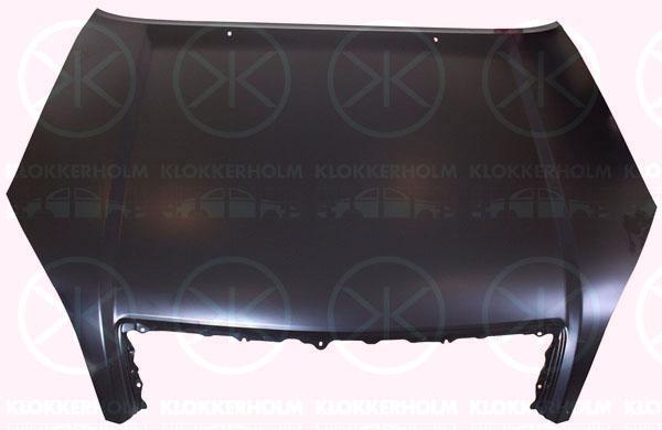 Klokkerholm 8128280 Капот 8128280: Купити в Україні - Добра ціна на EXIST.UA!