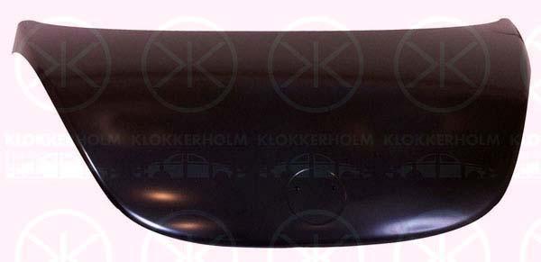 Klokkerholm 9514280A1 Капот 9514280A1: Купити в Україні - Добра ціна на EXIST.UA!