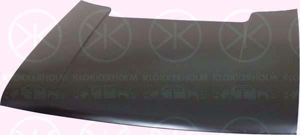 Klokkerholm 2021280 Капот 2021280: Купити в Україні - Добра ціна на EXIST.UA!