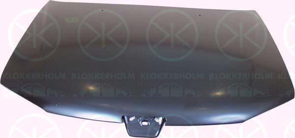 Klokkerholm 5513282 Капот 5513282: Купити в Україні - Добра ціна на EXIST.UA!