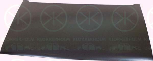 Klokkerholm 6060280 Капот 6060280: Купити в Україні - Добра ціна на EXIST.UA!