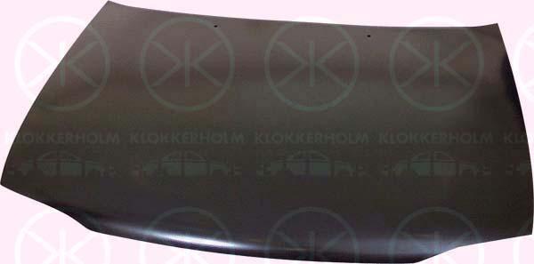 Klokkerholm 6730280 Капот 6730280: Купити в Україні - Добра ціна на EXIST.UA!
