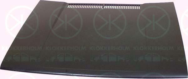 Klokkerholm 9520280 Капот 9520280: Купити в Україні - Добра ціна на EXIST.UA!