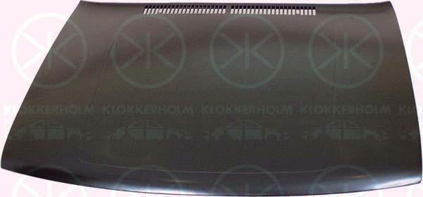 Klokkerholm 9529280 Капот 9529280: Купити в Україні - Добра ціна на EXIST.UA!