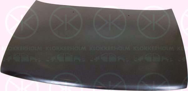 Klokkerholm 1628285 Капот 1628285: Купити в Україні - Добра ціна на EXIST.UA!