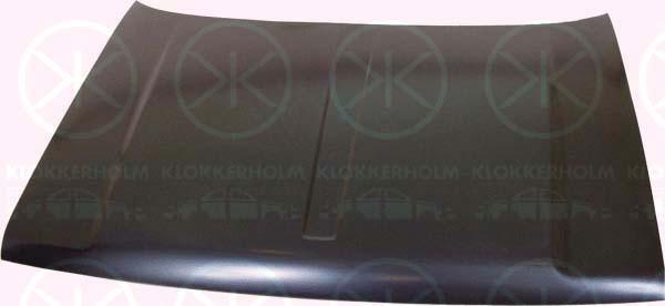 Klokkerholm 3203280A1 Капот 3203280A1: Купити в Україні - Добра ціна на EXIST.UA!